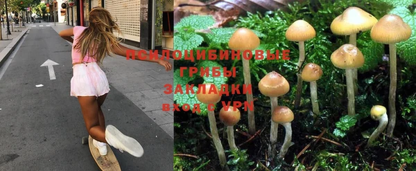 дживик Белоозёрский