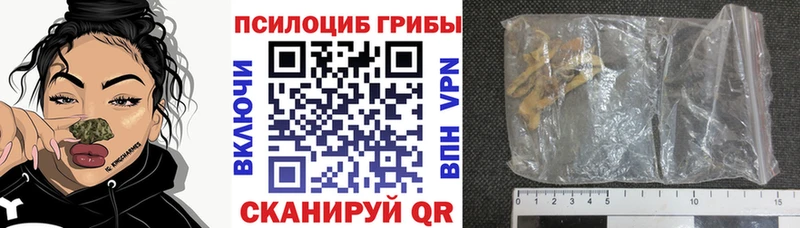 Псилоцибиновые грибы Psilocybe  ОМГ ОМГ зеркало  Семикаракорск  как найти наркотики 